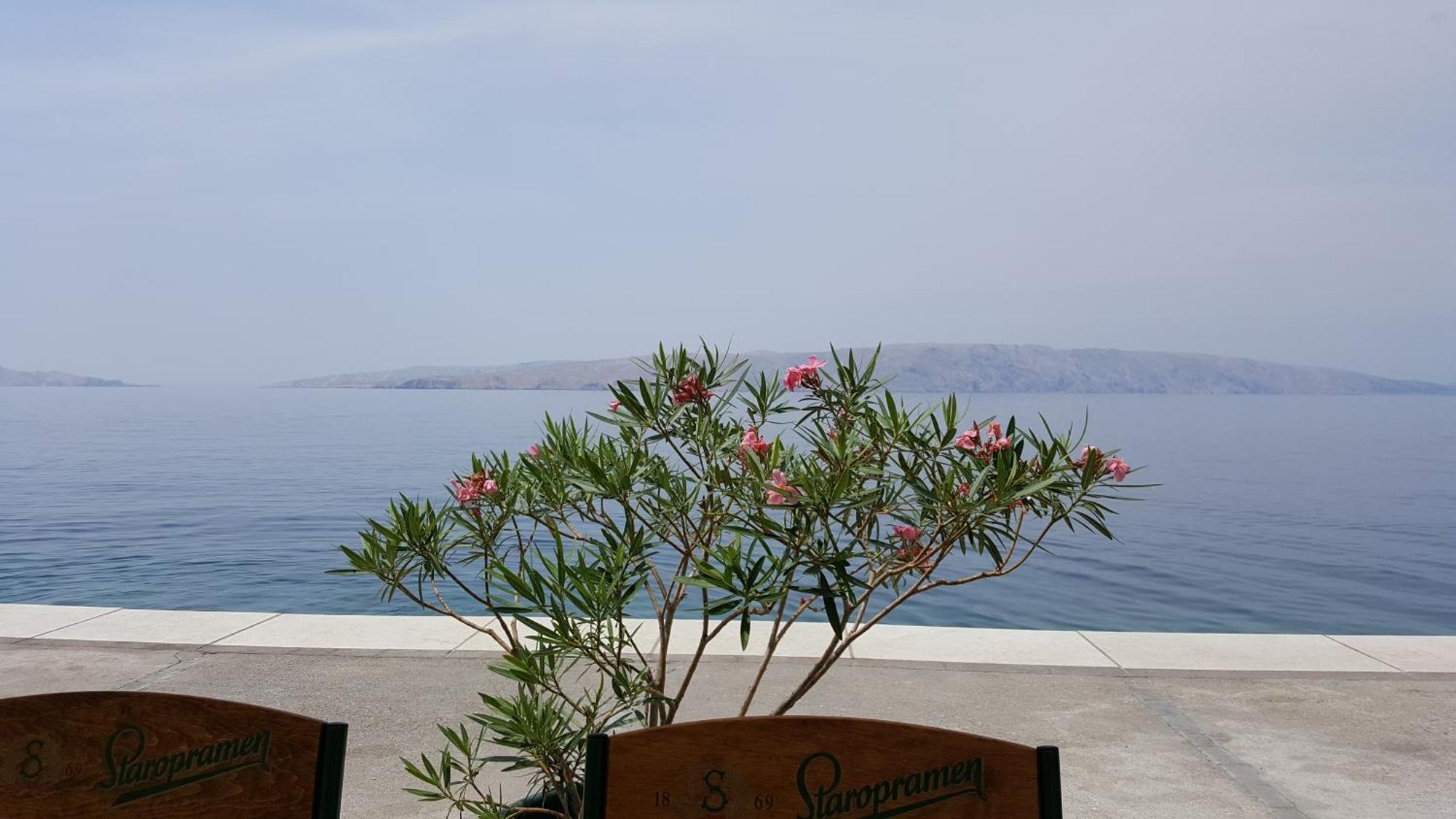 Apartman Bura Senj  Εξωτερικό φωτογραφία